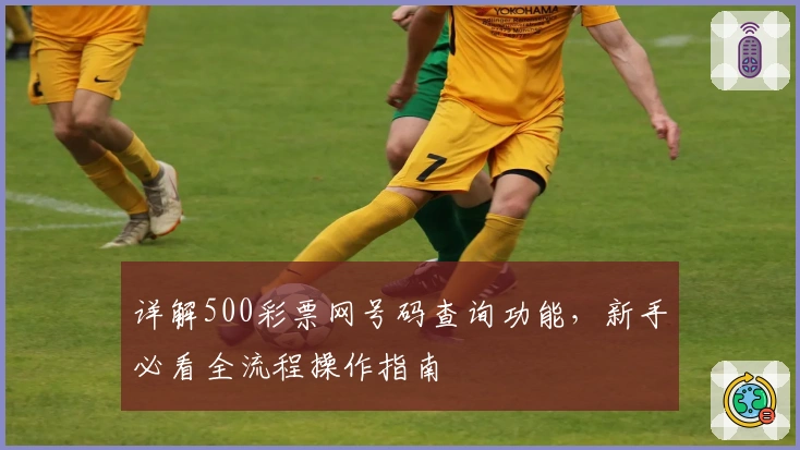 详解500彩票网号码查询功能，新手必看全流程操作指南
