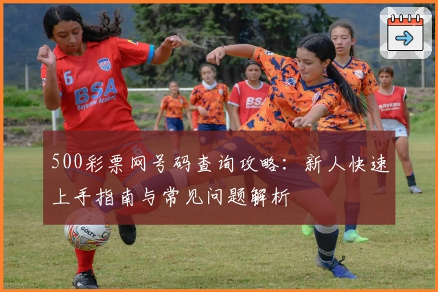500彩票网号码查询攻略：新人快速上手指南与常见问题解析