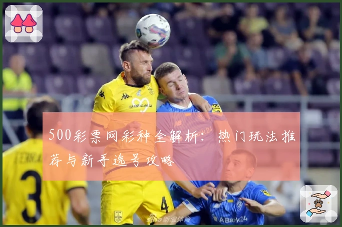 500彩票网彩种全解析：热门玩法推荐与新手选号攻略