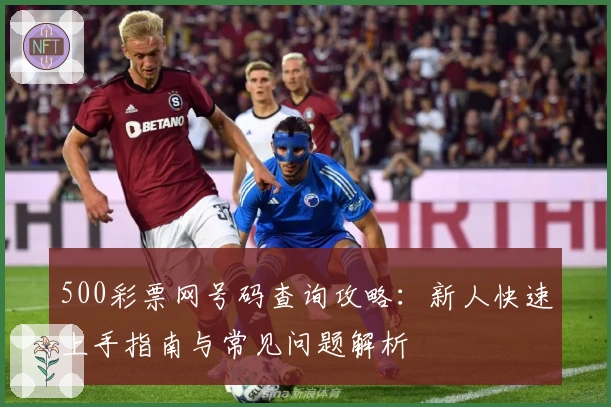 500彩票网号码查询攻略:新人快速上手指南与常见问题解析