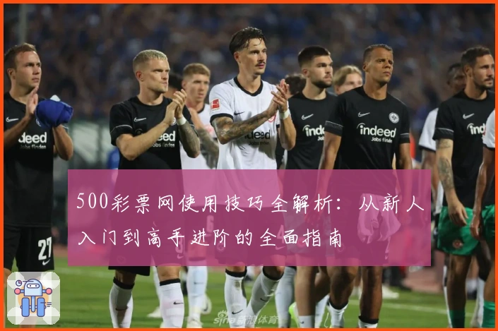 500彩票网使用技巧全解析：从新人入门到高手进阶的全面指南