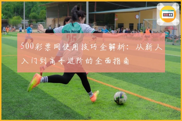 500彩票网使用技巧全解析:从新人入门到高手进阶的全面指南