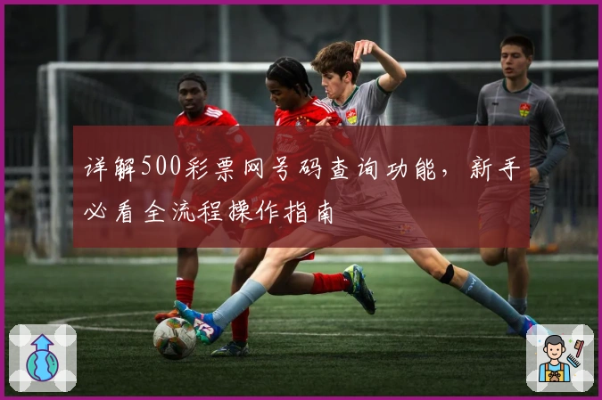 详解500彩票网号码查询功能，新手必看全流程操作指南